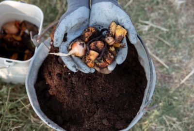 compost-still-life-concept