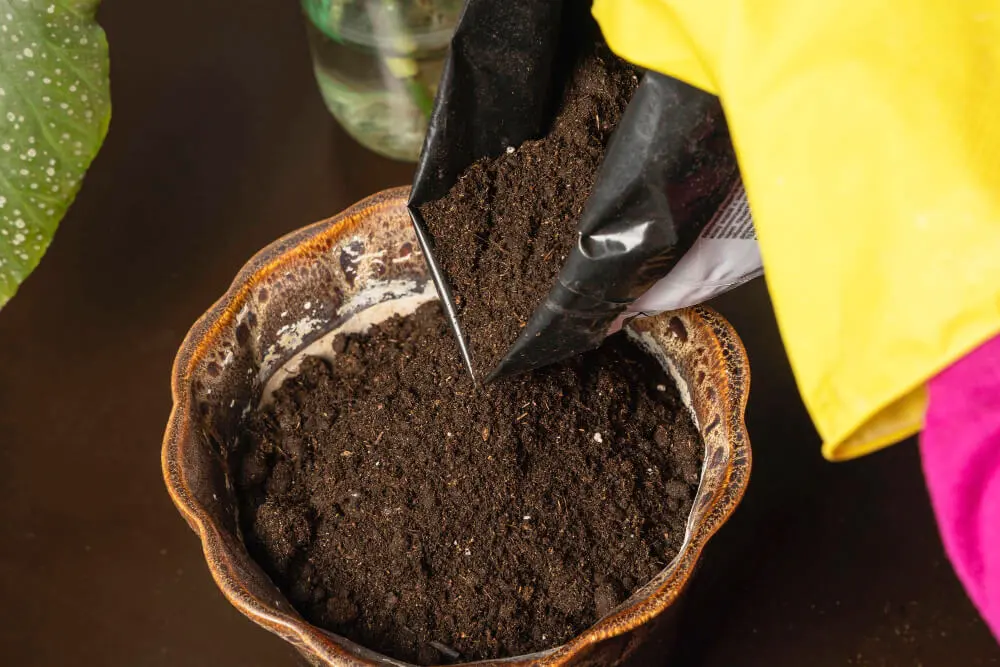 how-to-use-compost-in-potting-soil